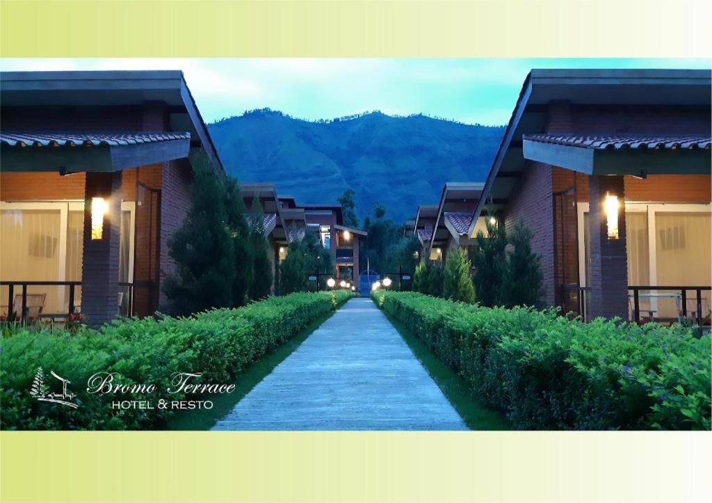 Bromo Terrace Hotel Exteriör bild