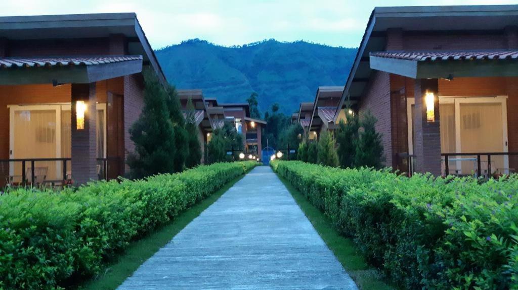 Bromo Terrace Hotel Exteriör bild